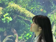 -九龙公园