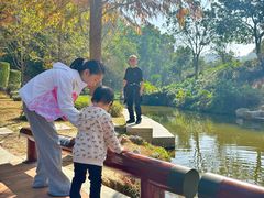 -中山市树木园