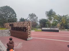 -重庆彩云湖湿地公园