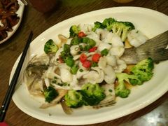 藤椒鲈鱼-东方印象大酒楼(拱北店)