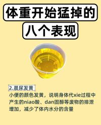 -Fundi张玉珊修身堂·indiba·BTL科技瘦身