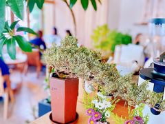 -翠贝卡&Mama Kelly Brunch Coffee(河西店)