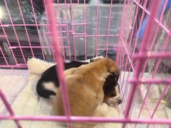 -方恒购物中心(望京小街店)