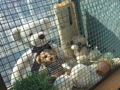 -济州岛泰迪熊博物馆