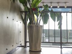 -灵芝妹子海鲜米线(劳动公园店)