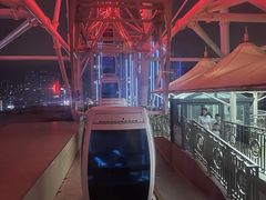 -泰盛楼顶摩天轮