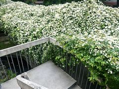 -四川大学(望江校区)