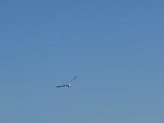 -丁香湖公园