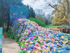 -上海共青森林公园