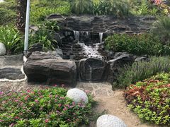 -100蛋泥浆浴