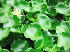 -苏州河梦清园环保主题公园