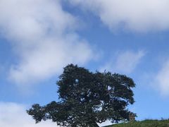 -霍比特人村