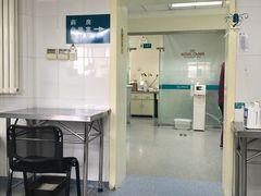 -美联众合动物医院·24h京西诊疗中心