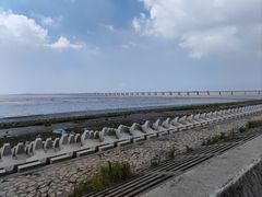 -南汇新城海滩
