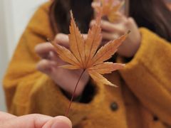 -优衣库(上海金桥太茂店)