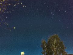 -塞罕坝国家级自然保护区