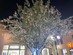 -京津佛罗伦萨小镇