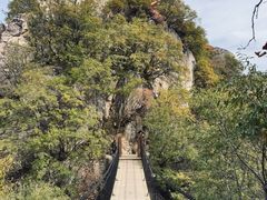 -秦岭终南山世界地质公园翠华山景区