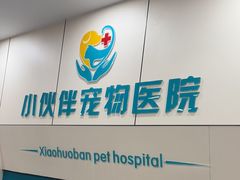 -小伙伴宠物医院·CT·骨科·眼科(高新店)