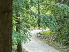 -东天目山风景区
