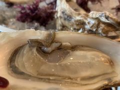 -db Bistro & Oyster Bar by Daniel Boulud(滨海湾金沙店)