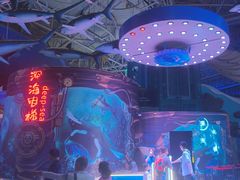 -烟台海昌鲸鲨海洋公园