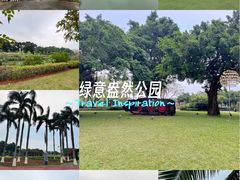 -万绿园