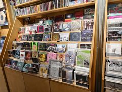 -独音唱片 Indie Music