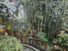 -竹海听涛生态山庄