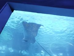 -常州海昌海洋探索馆