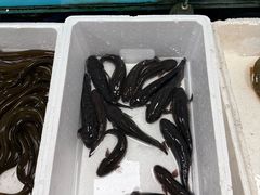 -西门岛码头海鲜馆
