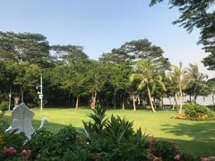 -深圳湾公园(南山区)