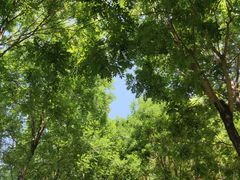 -东郊湿地公园