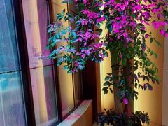 -邵汇大虾(泉园一路店)