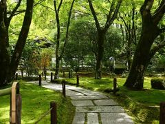 -西芳寺(苔寺)
