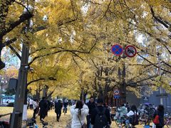 -四川大学(华西校区)