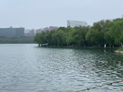 -天鹅湖体育公园