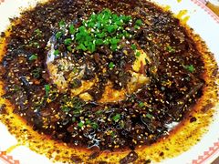 -杨记隆府(南坪店)