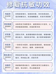-Oasis Beauty水磨坊科技美肤中心