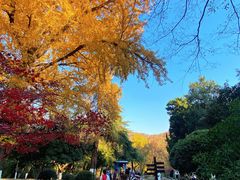 -南山风景名胜区