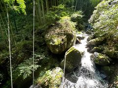 -藏龙百瀑风景区