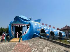 -日照海滨国家森林公园