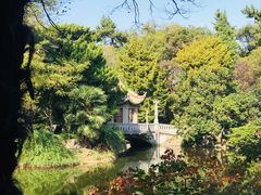 -叶家花园