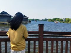 -杭州湾海上花田景区