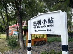-北山公园