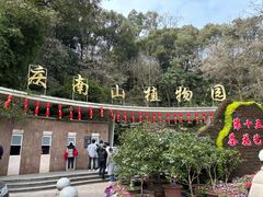 -南山植物园