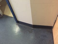 -重庆医科大学附属第一医院(本部)