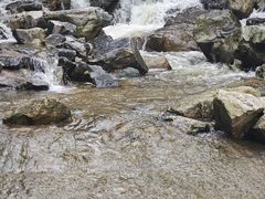 -牛背梁国家森林公园