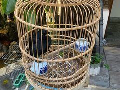 -丽江庭院·云南野生菌·海鲜火锅(鼓楼四合院店)