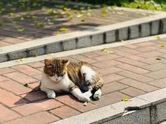 -火炉山森林公园